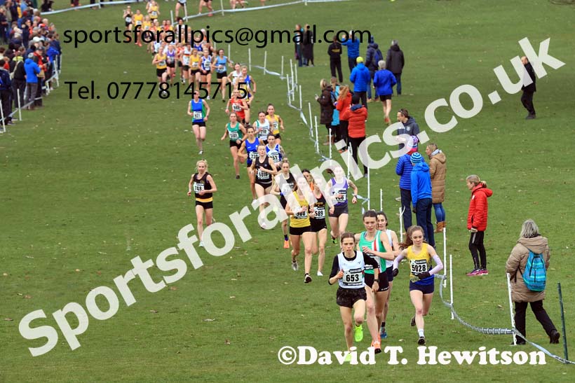Senior Women, 2024 CAU Inter Counties Cross Country Champs., Wollaton Park, Nottingham. Photo: David T. Hewitson/Sports for All Pics